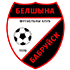 The FC Belshina Bobruisk logo