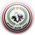 The Talaea El Gaish logo