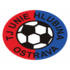 The Hlubina logo