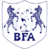 The Botswana (W) logo