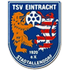 The TSV Eintracht Stadtallendorf logo