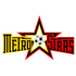 The North Eastern Metro Stars logo