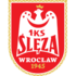 The Sleza Wroclaw logo