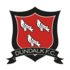 The Dundalk FC logo