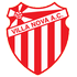 The Villa Nova MG logo