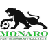 The Monaro Panthers FC logo