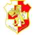 The Naxxar Lions FC logo