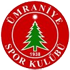 The Umraniyespor logo