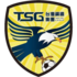 The Tainan City Steel logo