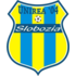 The FC Unirea 2004 Slobozia logo