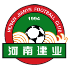 The Henan FC logo