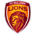 The Bulleen Lions logo