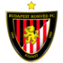 The Budapest Honved FC logo