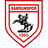 The Samsunspor logo